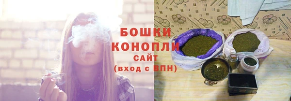 молекула духа Козловка