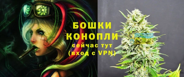 молекула духа Козловка