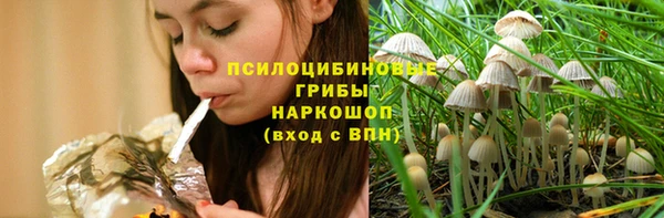 гидропоника Краснослободск