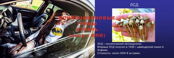 гидропоника Краснослободск