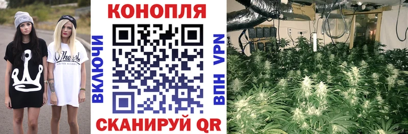 МАРИХУАНА конопля купить Малгобек